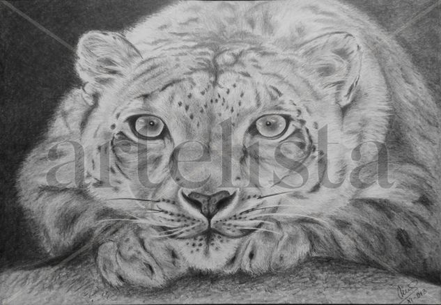 Leopardo Pencil