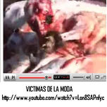 Sabes como obtienen la piel para hacer abrigos full moda thumbnail 1