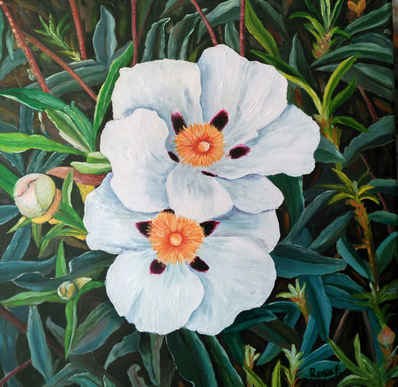 Flores de Jara Oil Canvas Floral Painting