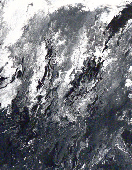 Oscilacion en blanco y negro Acrylic Canvas Others