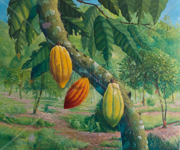 Cacao de Sucre Óleo Lienzo Paisaje