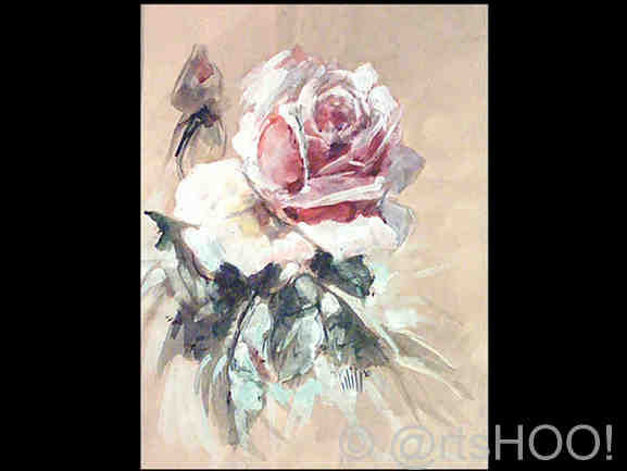 Rosa 