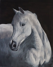 Caballo blanco