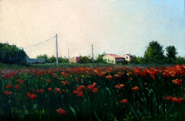 Jardin de amapolas Oil Canvas Landscaping