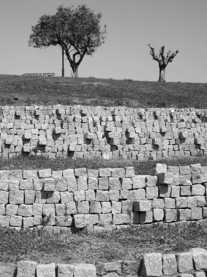 bancos de piedra Naturaleza Blanco y Negro (Digital)