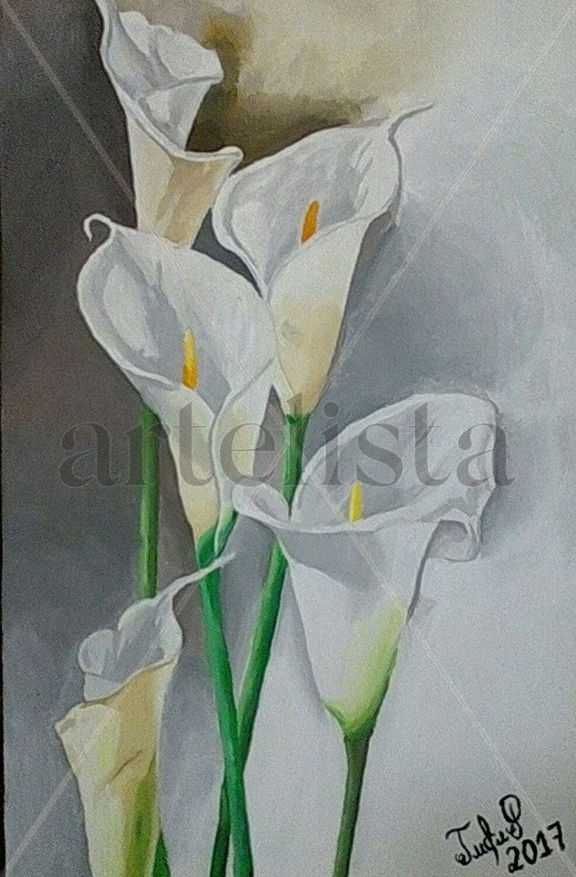 Flores: Calas