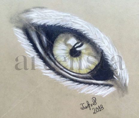 Ojo Animal