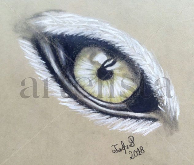 Ojo Animal