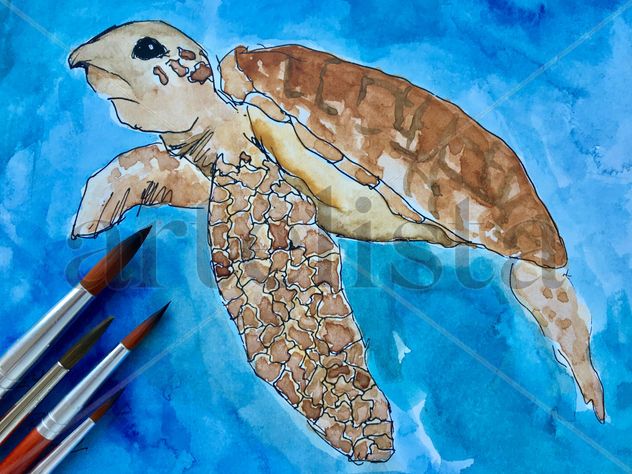 Tortuga Carey