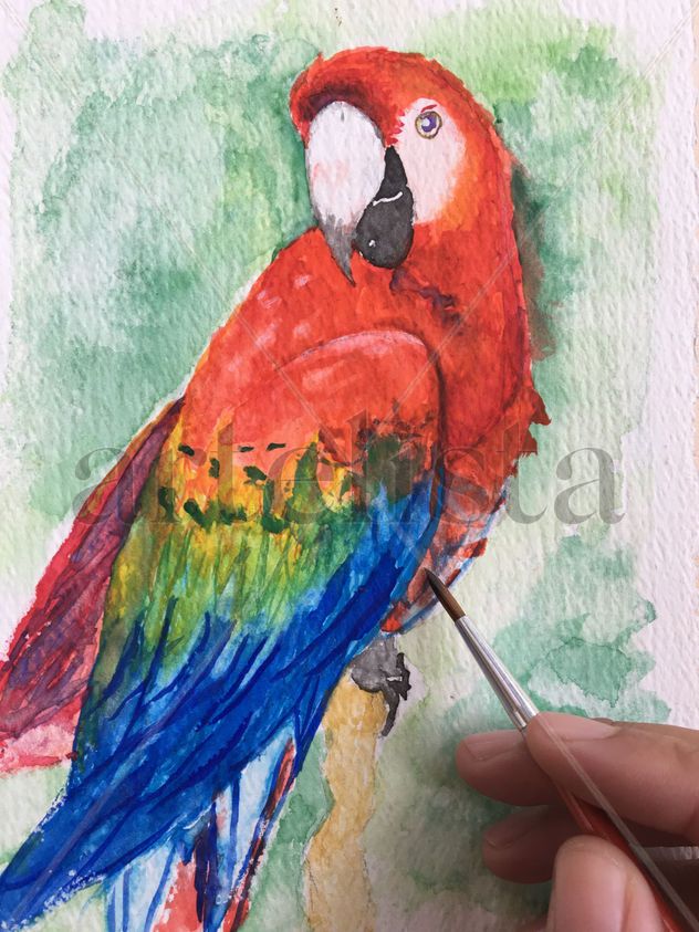 Guacamayo Rojo