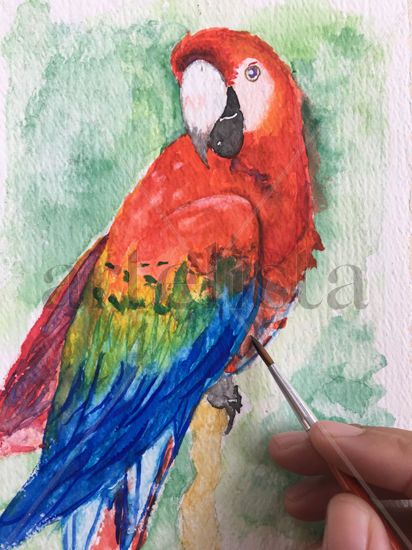 Guacamayo Rojo Watercolour Paper Animals