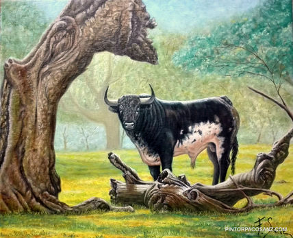 Burraco
