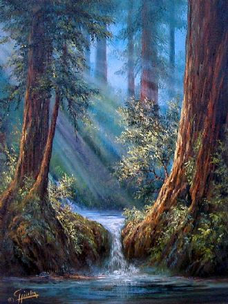 Redwoods Oil Canvas Landscaping