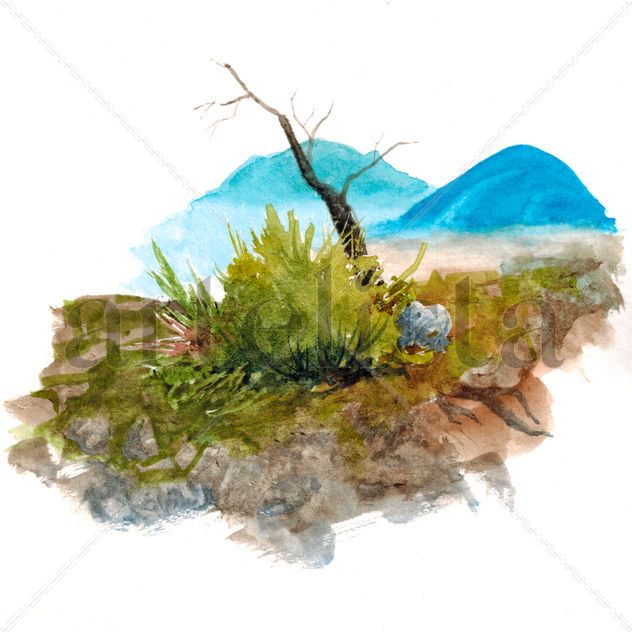 Arbol, matojo y montañas