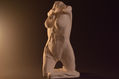 torso femenino 1