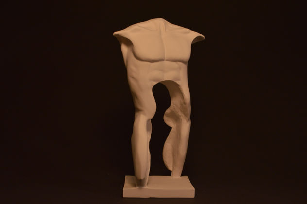 torso marculino 1