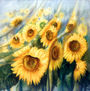 CAMPO DE GIRASOLES