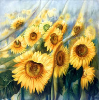 Campo de girasoles