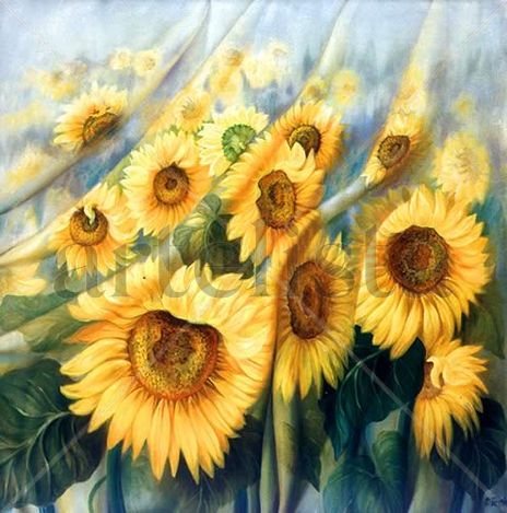 Campo de girasoles