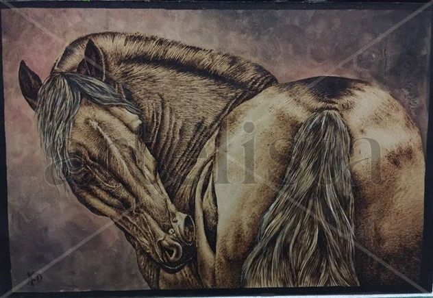 caballo