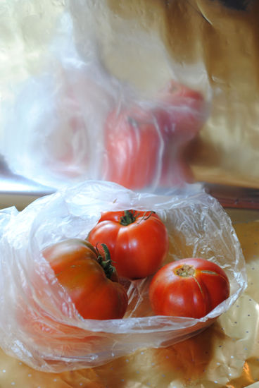 tomates Oil Canvas Still Life Paintings