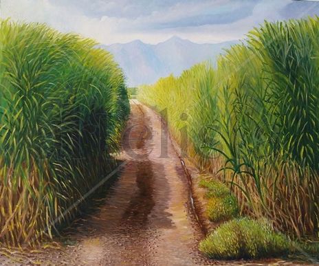 Cañaveral