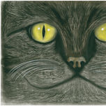 PASTEL thumbnail 2