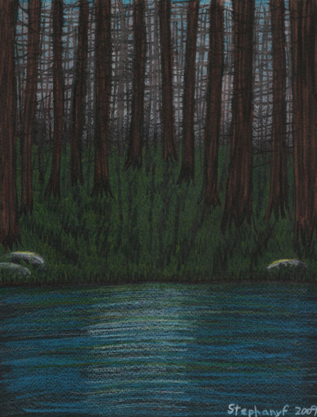 Bosque de encanto