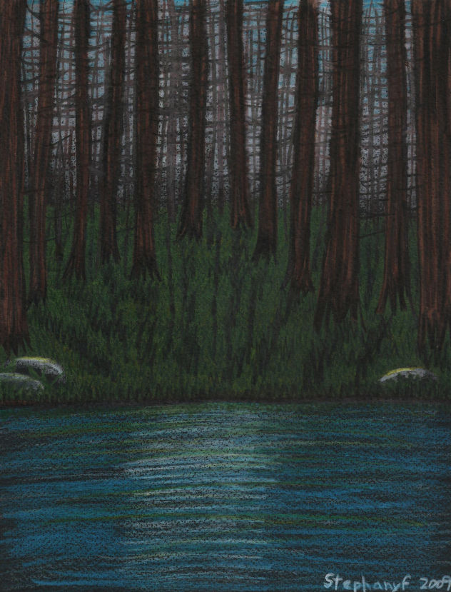Bosque de encanto