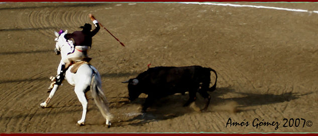 Matador a Caballo Other Themes Color (Digital)