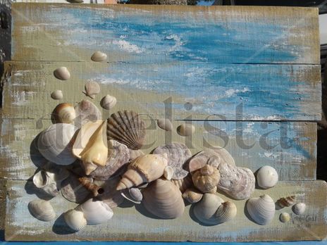 Caracolas en el Mar