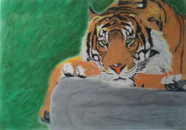 tigre Pastel Papel Animales