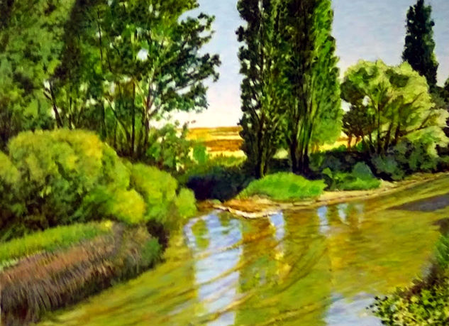 Rio Valdavia (Osorno) Acrylic Card Landscaping