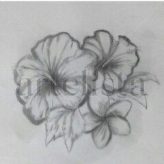 Detalles que...