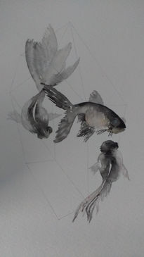 Peces koi