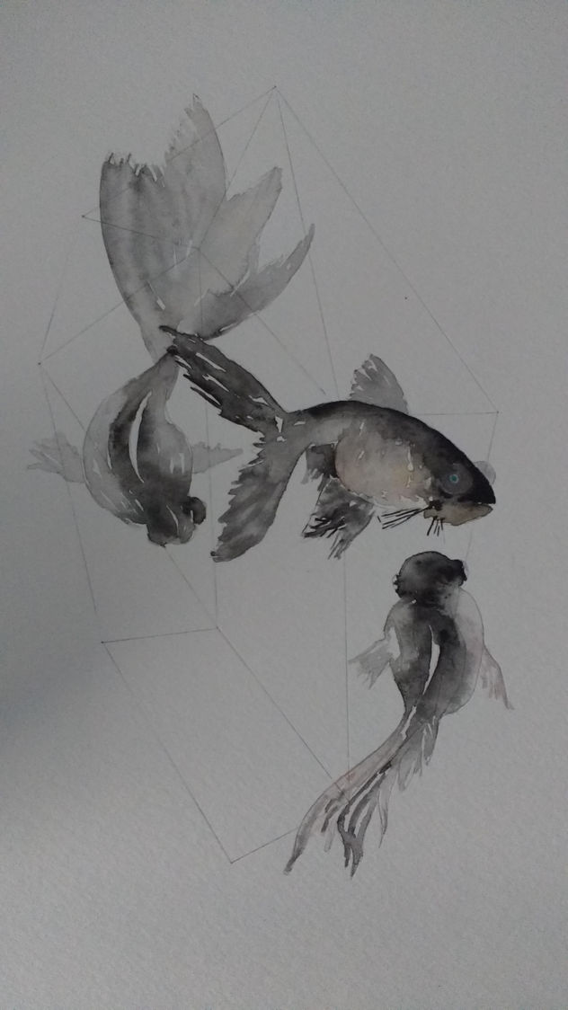 PECES KOI