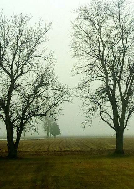 Arlington