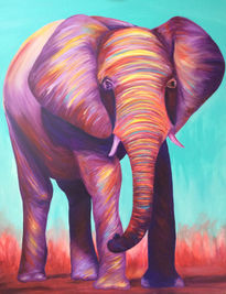 Elefante Color