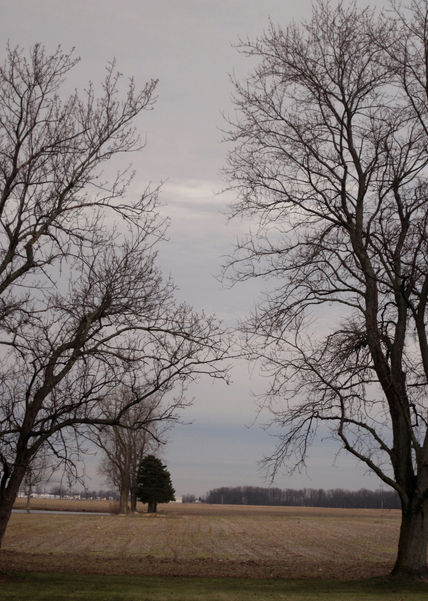 Arlington