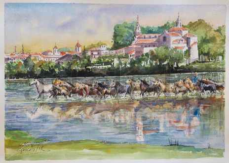 Alegría en Doñana