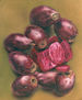 Tunas Rojas con Fondo Verde