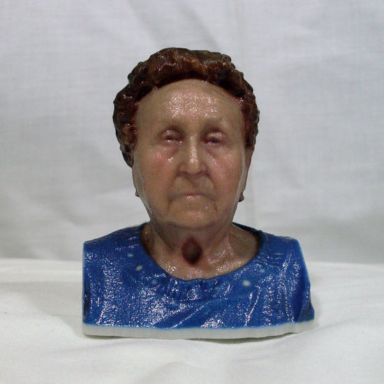 Cabezas 3D y Bustos 3D Personalizados desde FOTO. 3D Selfies, 3D Avatares Others Figurative