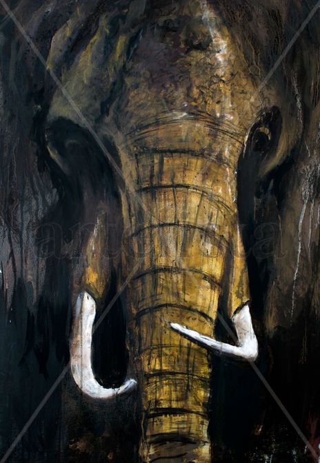 Elefante
