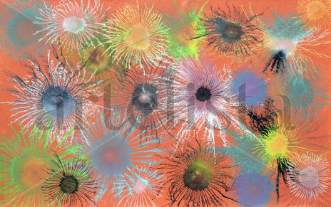 Exploflora Series...