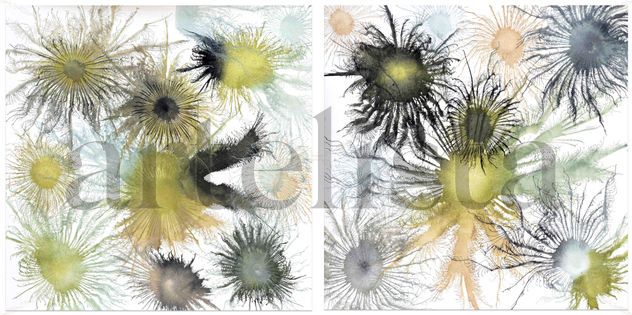 Diptych Exploflora Series No. 63
