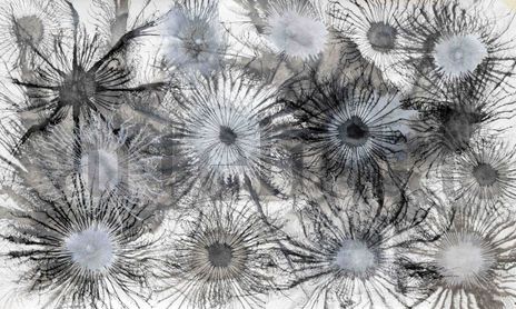 Exploflora Series...
