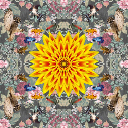 Karmascope Series...