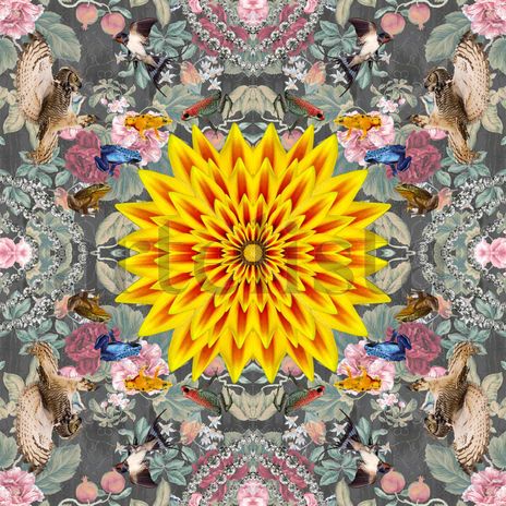 Karmascope Series...