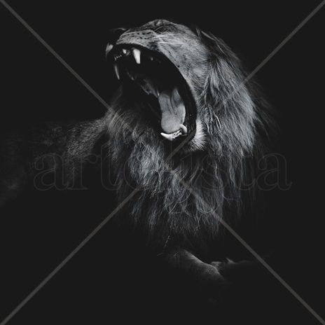 El rey leon