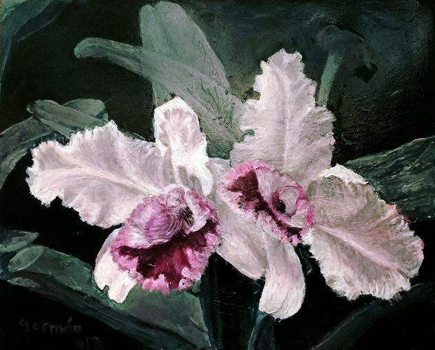 orquídea